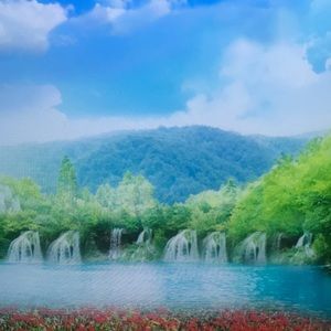 Meet your Posher, Damon